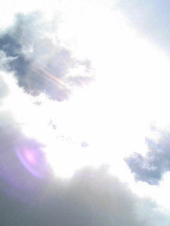 PA0_0009.jpg