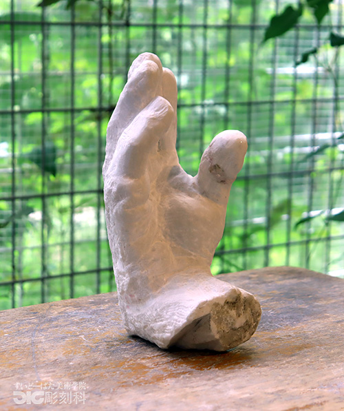 2026_2009.jpg