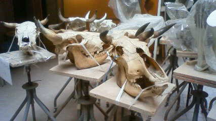 201001211438000.jpg