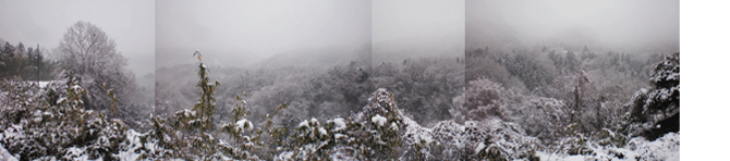 panorama.JPG