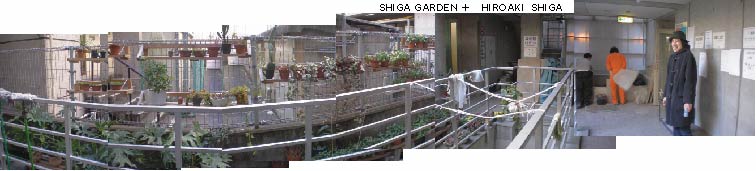 shiga-garden2.jpg