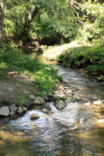 20100830kIMG_3090.jpg