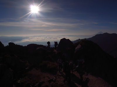 2010tozanR0014483.jpg