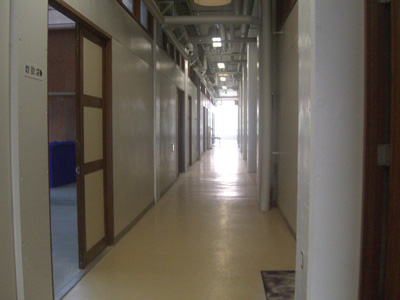 20110204gidi1.jpg