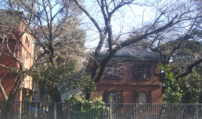 20110204gidi2.jpg