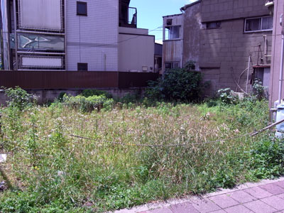 R0013509.jpg